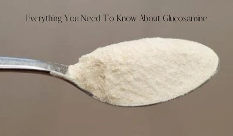 HerbsPro.com | Everything you need to know about glucosamine