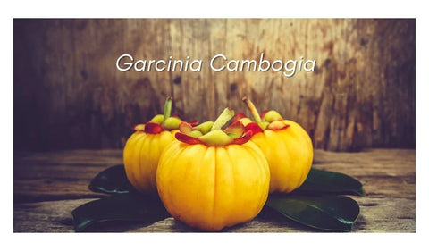 HerbsPro.com | Garcinia Cambogia Health Benefits