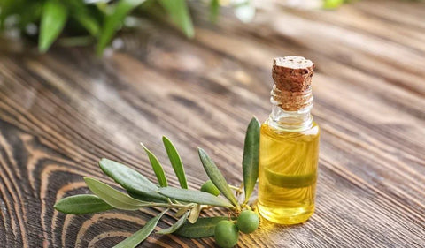 Olive Leaf Extract