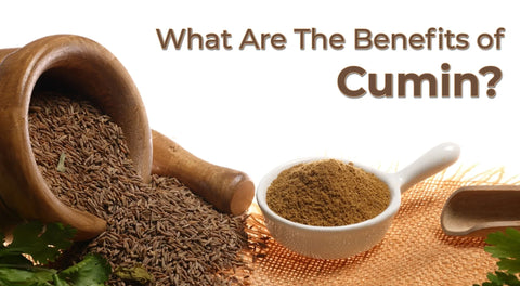 What Are The Benefits of Cumin