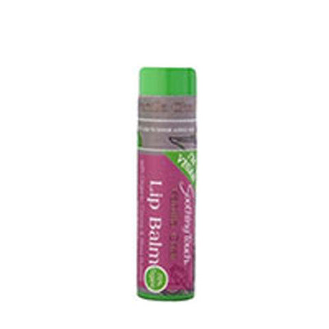 Soothing Touch, Lip Balm Vegan, Vanilla Chai .25 OZ(case of 12)