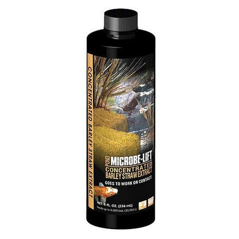 Microbe-Lift, Barley Straw Concentrated Extract, 8 oz