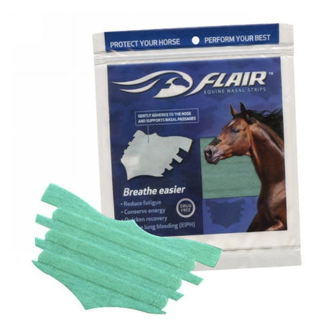 Flair, Flair Equine Nasal Strips Turquoise, 1 Each