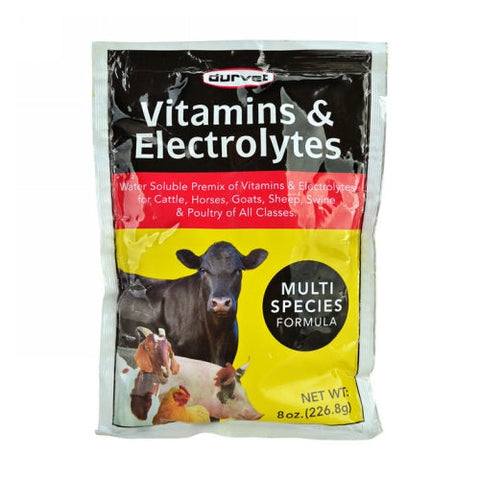 Durvet, Vitamins & Electrolytes Multispecies Supplement, 8 Oz