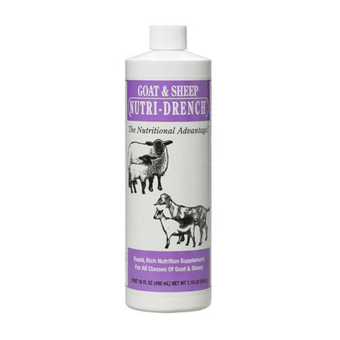 Nutri-Drench, Goat & Sheep Nutri-Drench, 16 Oz