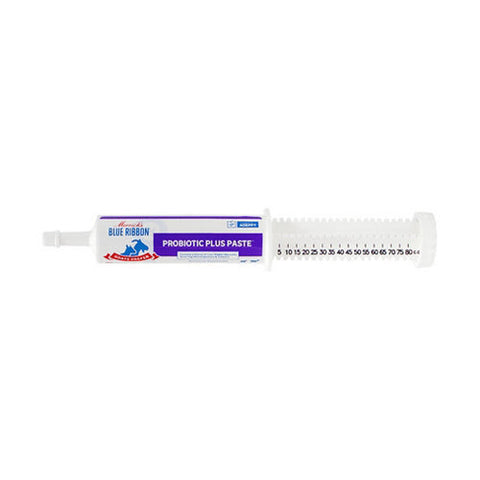 Merrick, Blue Ribbon Goats Prefer Probiotic Plus Paste 80 cc, 1 Count