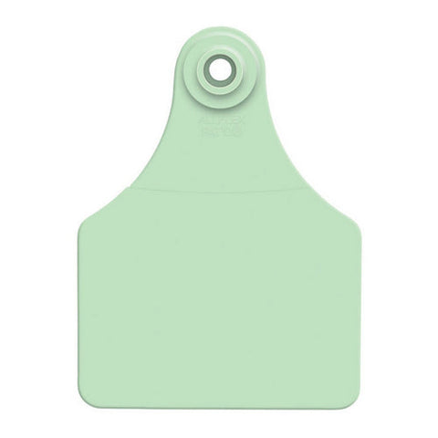 Allflex, Allflex Global Large Blank Tags Green 25's, 1 Count