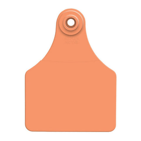 Allflex, Allflex Global Large Blank Tags Orange 25's, 1 Count