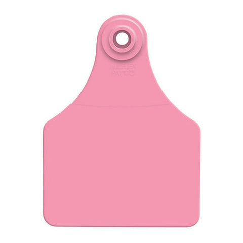 Allflex, Allflex Global Large Blank Tags Pink 25's, 1 Count
