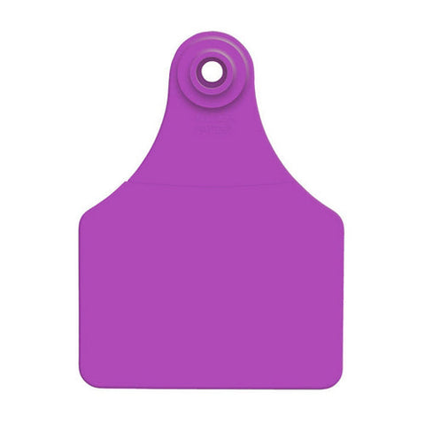 Allflex, Allflex Global Large Blank Tags Purple 25's, 1 Count