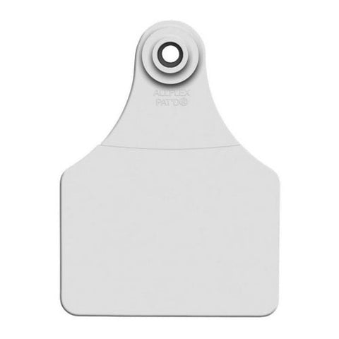 Allflex, Allflex Global Large Blank Tags White 25's, 1 Count