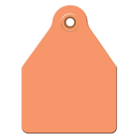 Agritags, AgriLabs Large Blank AgriTags Orange 25's, 1 Count