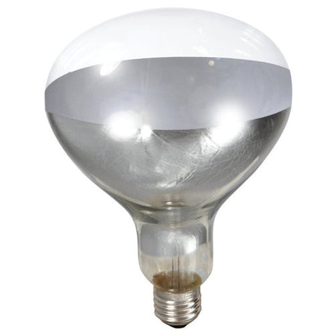Generic, Heat Lamp 250W Bulb Clear, 1 Each