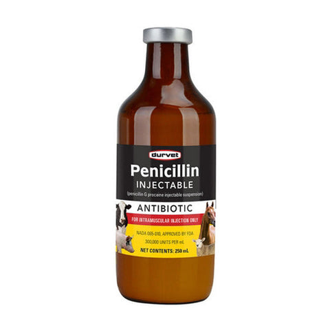 Durvet, Penicillin G/Norocillin Injectable, 250 Ml