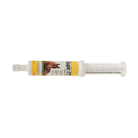 Durvet, Aspireze Aspirin Gel For Horses, 1 Each