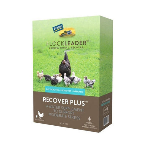 Flockleader, FlockLeader RECOVER PLUS Poultry Supplement, 8 Oz