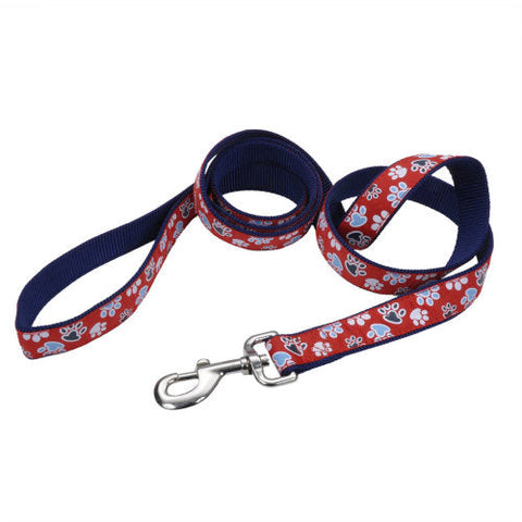 Ribbon, Ribbon Nylon Dog Leash, Red, 1 Each/1 In X 6 ft