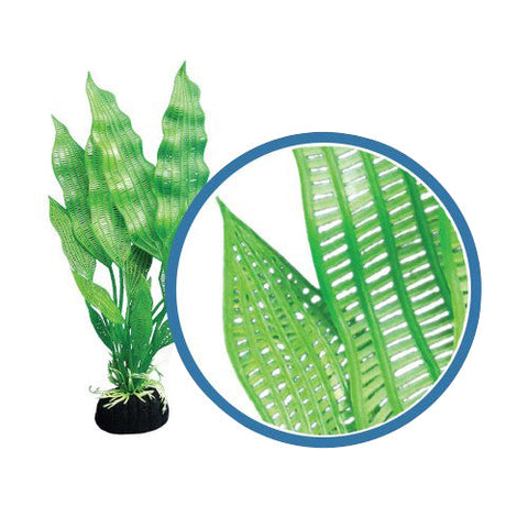 Weco, Weco Products Freshwater Pro Series Madagascar Lace Aquarium Plant, Green, 1 Each/6 in