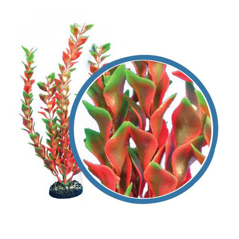 Weco, Weco Products Freshwater Pro Series Ludwigia Aquarium Plant, Red, 1 Each/6 in