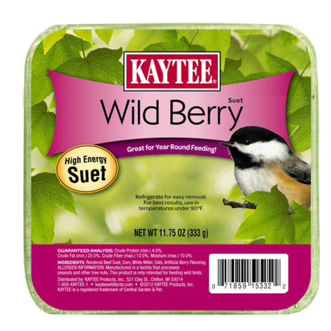 Kaytee, Kaytee Wild Berry High Energy Mini Suet, 1 Each/11.75 Oz