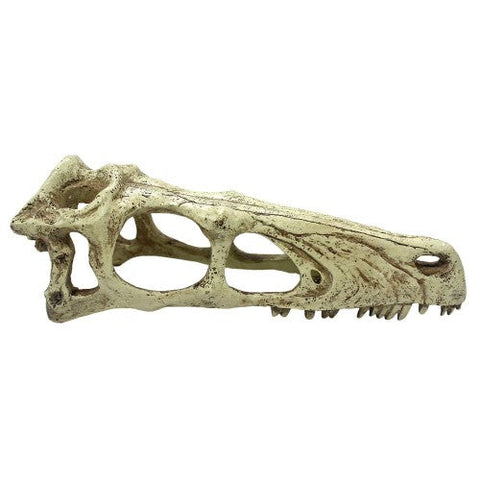 Komodo, Komodo Raptor Skull Reptile Hideout, Tan, 1 Each/Large