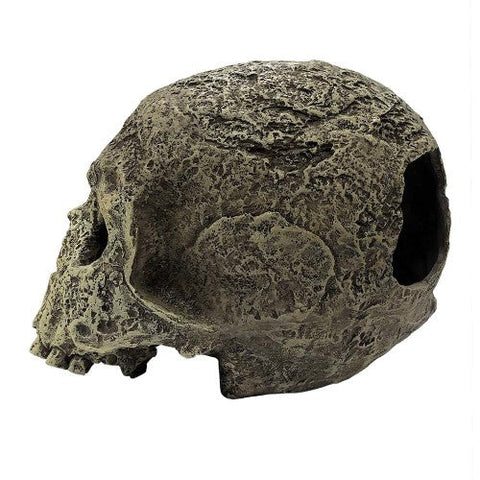 Komodo, Komodo Textured Human Skull Reptile Hideout, Gray, 1 Each/One Size
