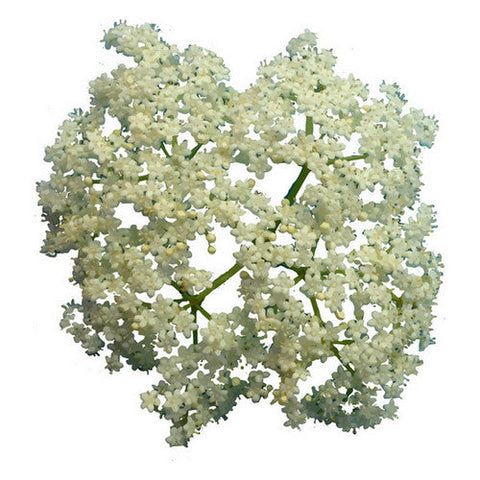 SURO, Dried organic elderflowers, 57 Grams