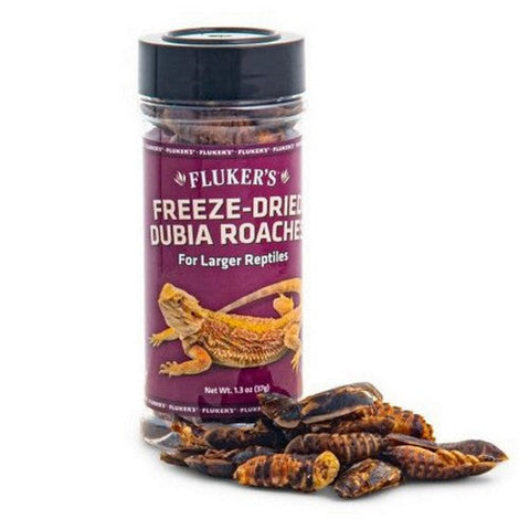 Fluker's, Freeze Dried Dubia Roaches, 1 Count / 1.3 Oz
