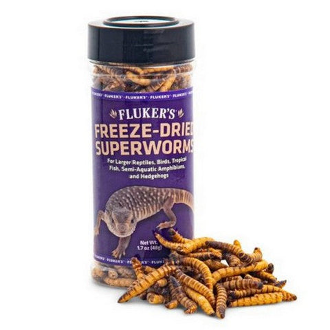 Fluker's, Freeze Dried Superworms, 1 Count / 1.7 Oz