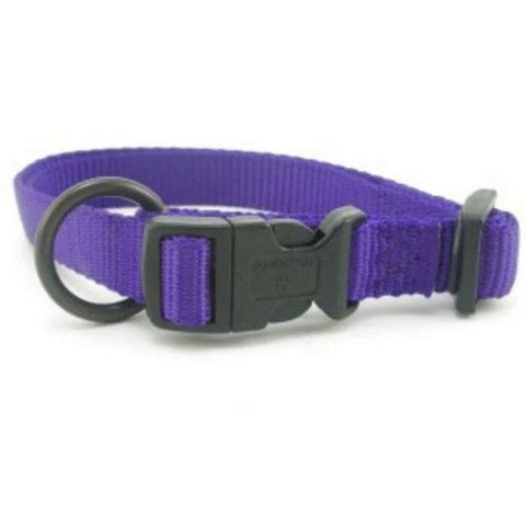 Collar Adjustable 3/4" 16-22 Med Purple 2 Count by Hamilton