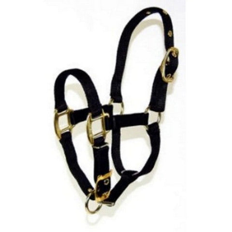 Halter Horse Qlty 1-2 Foal 3/4" Black 1 Each by Hamilton