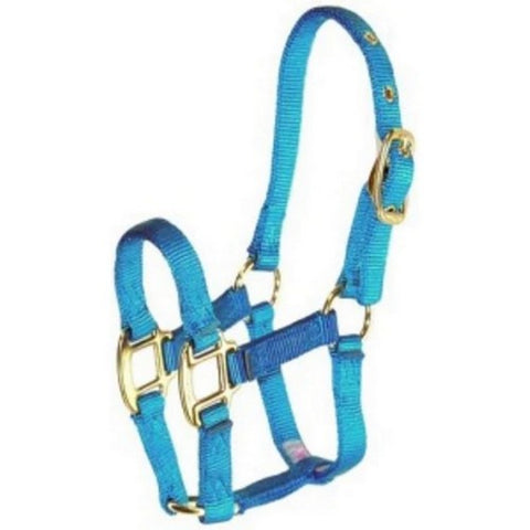 Halter Horse Qlty Pony 3/4" Blue 1 Each by Hamilton