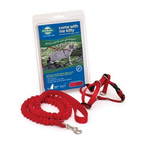 PetSafe, PetSafe Premier Come With Me Kitty Harness & Bungee Leash Combo, Red/Cranberry, 1 Each / Small