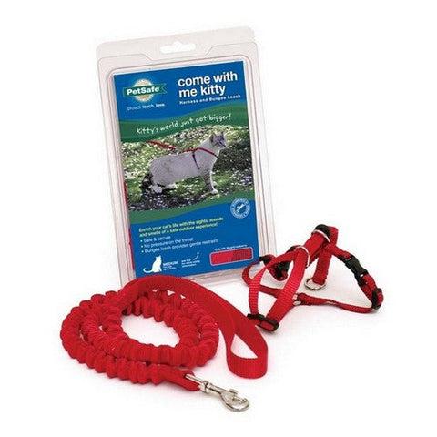 PetSafe, PetSafe Premier Come With Me Kitty Harness & Bungee Leash Combo, Red/Cranberry, Large