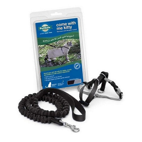 PetSafe, PetSafe Premier Come With Me Kitty Harness & Bungee Leash Combo, Black/Silver, Medium