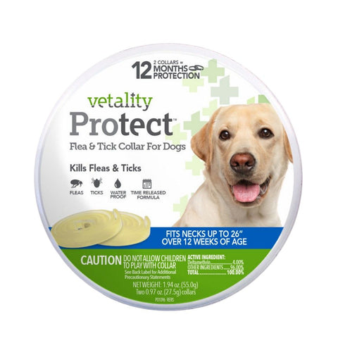 Vetality, Vetality Protect Flea & Tick Dog Collar, 1 Each