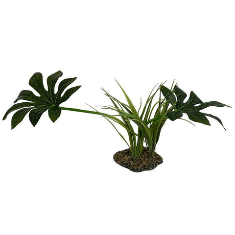 Komodo, Komodo Jungle Canopy Plant, 1 Each / 42 Cm
