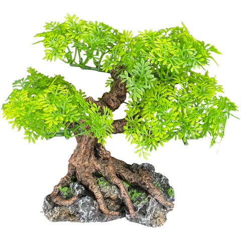 Komodo, Komodo Bonsai Tree, 1 Each / 17 Inches