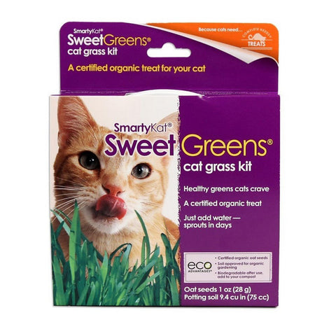SmartyKat, SmartyKat Sweet Greens Cat Grass Kit, 1 Oz