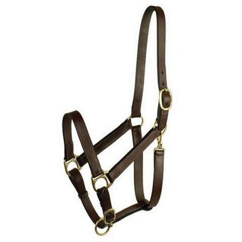 Gatsby, Gatsby Leather Adjustable Turnout Halter W/Snap, HORSE,Havana