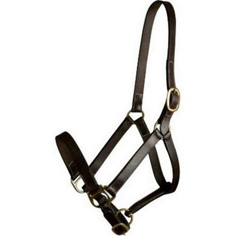 Gatsby, Gatsby Leather Adjustable Turnout Halter, SUCKLING,Havana