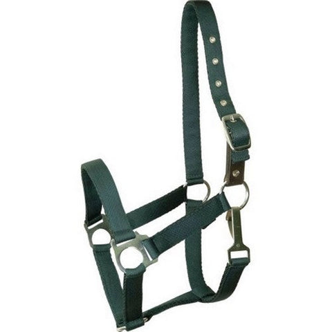 Gatsby, Gatsby Ultra Soft Nylon Safety Halter, Pony,Hunter Green