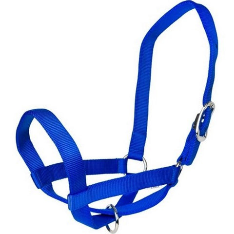 Gatsby, Gatsby Nylon Cattle Halter, Medium,Blue
