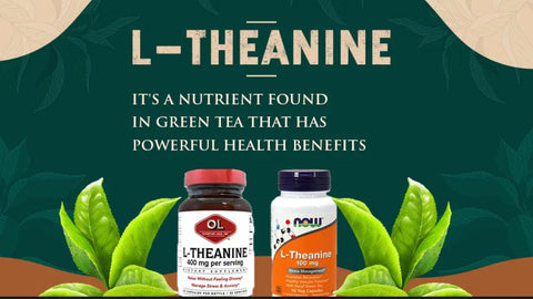 L-Theanine: It’s a nutrient found in green tea that has powerful health benefits.