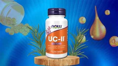 Unlocking the Benefits of Type 2 Collagen Supplements: A Comprehensive Guide