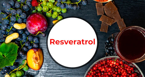 HerbsPro.com | Everything You Need To Know About Resveratrol: Benefits, Usage, And Possible Risks