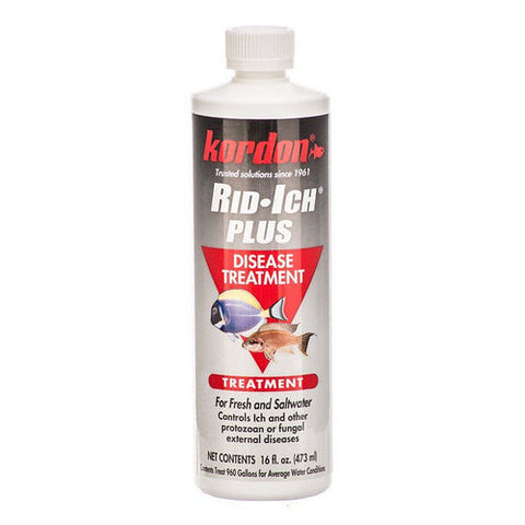 Kordon, Rid-Ich + Disease Treatment, 16 oz