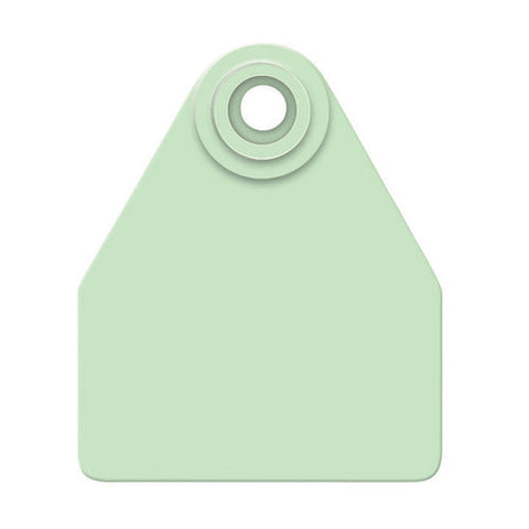 Allflex, Allflex Global Medium Blank Tags Green 25's, 1 Count