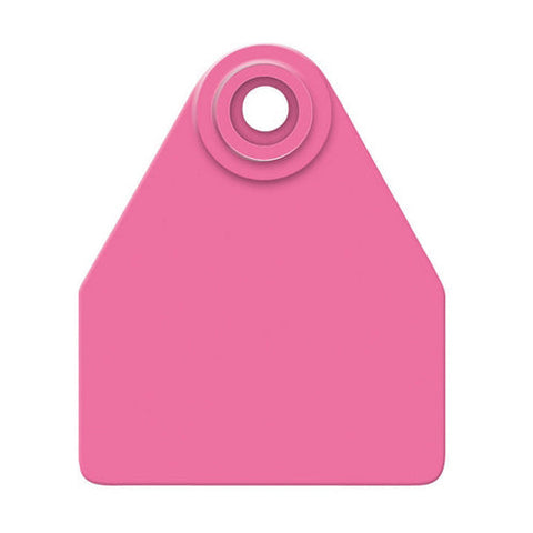 Allflex, Allflex Global Medium Blank Tags Magenta 25's, 1 Count