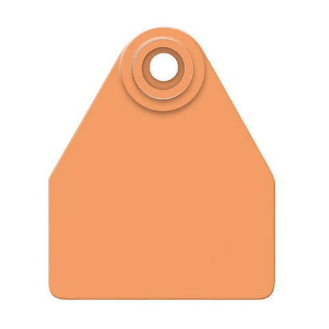 Allflex, Allflex Global Medium Blank Tags Orange 25's, 1 Count